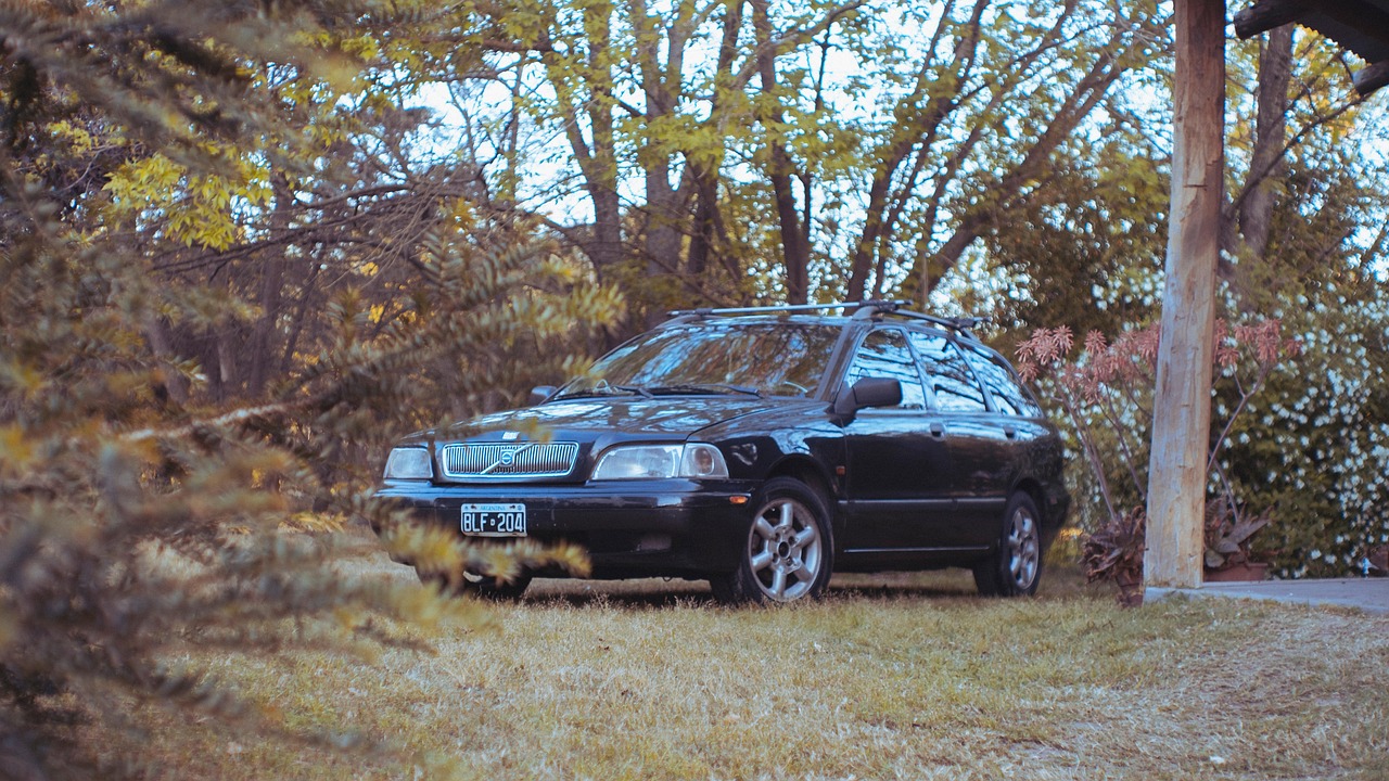华体会，注册|详情下载教程达达兔APP