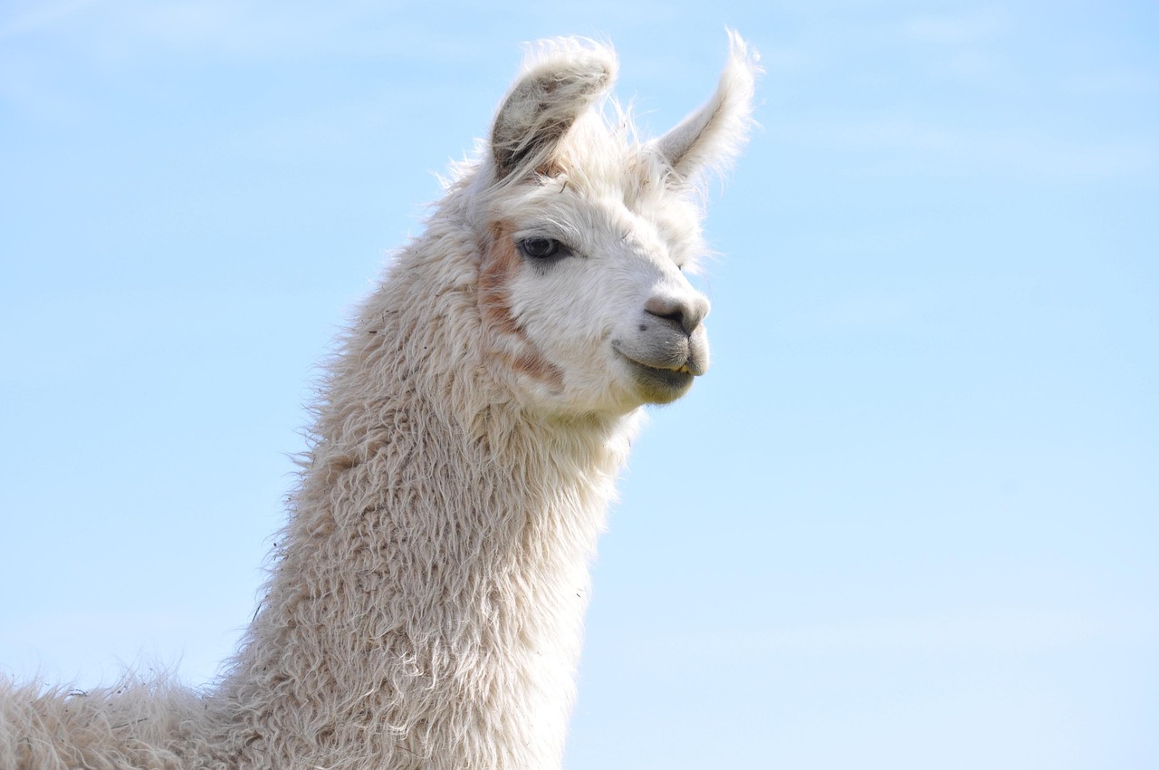 虎牙实名账号：组装笔代理平台