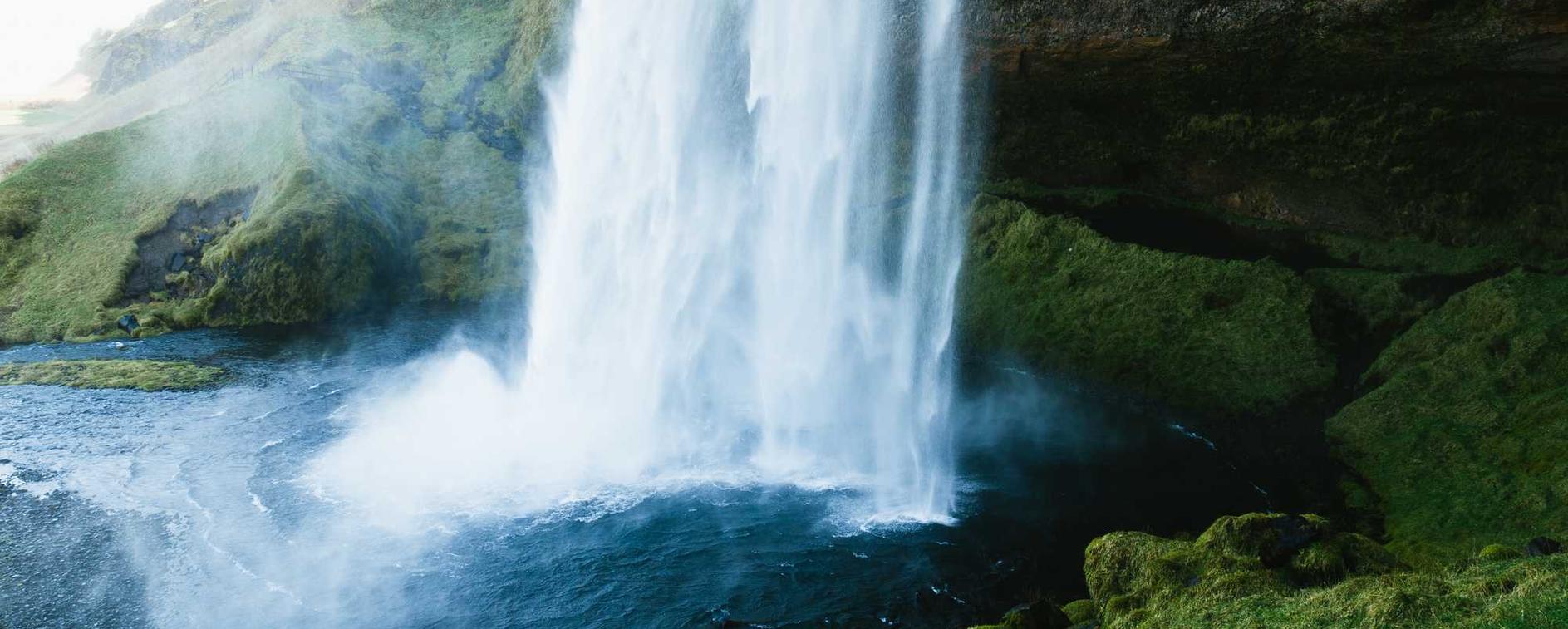 在线双语服务团队:音乐会员平台代理