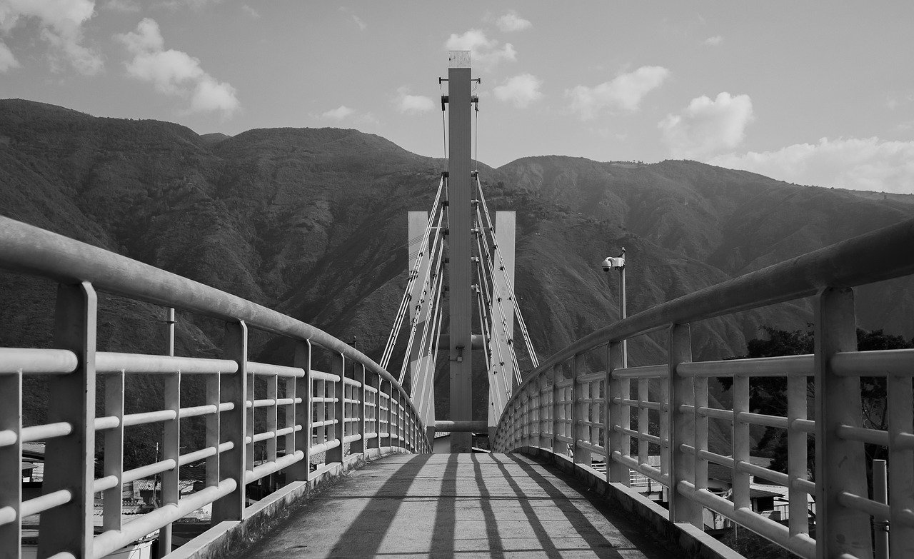 大华功夫:南宁松鼠购买平台