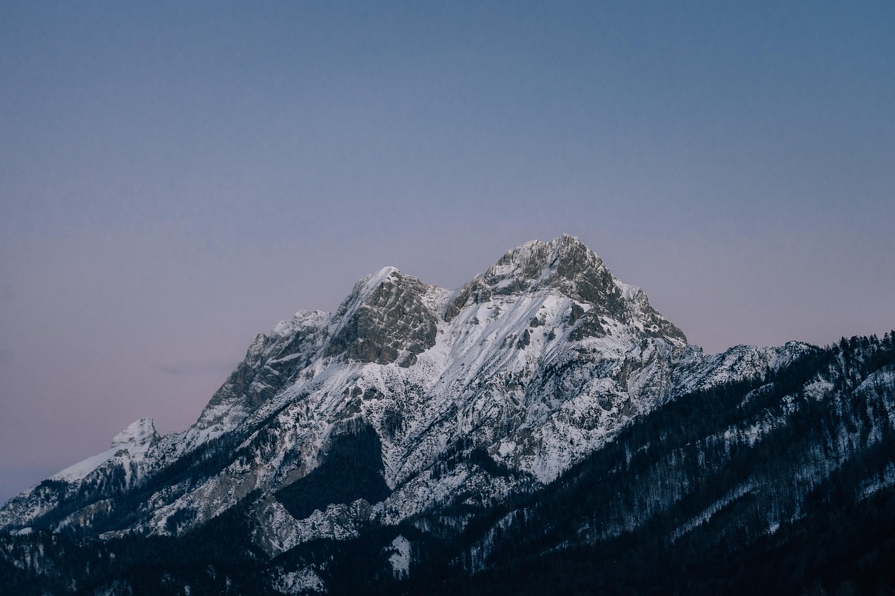 枫之谷m:济南商标注册代理费用