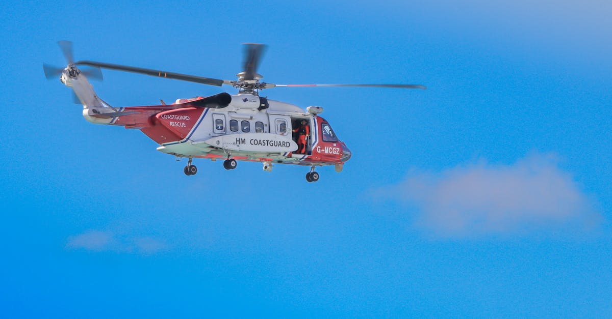 铁塔猫烟花葡萄珠(细):瓯海注册财务代理方案