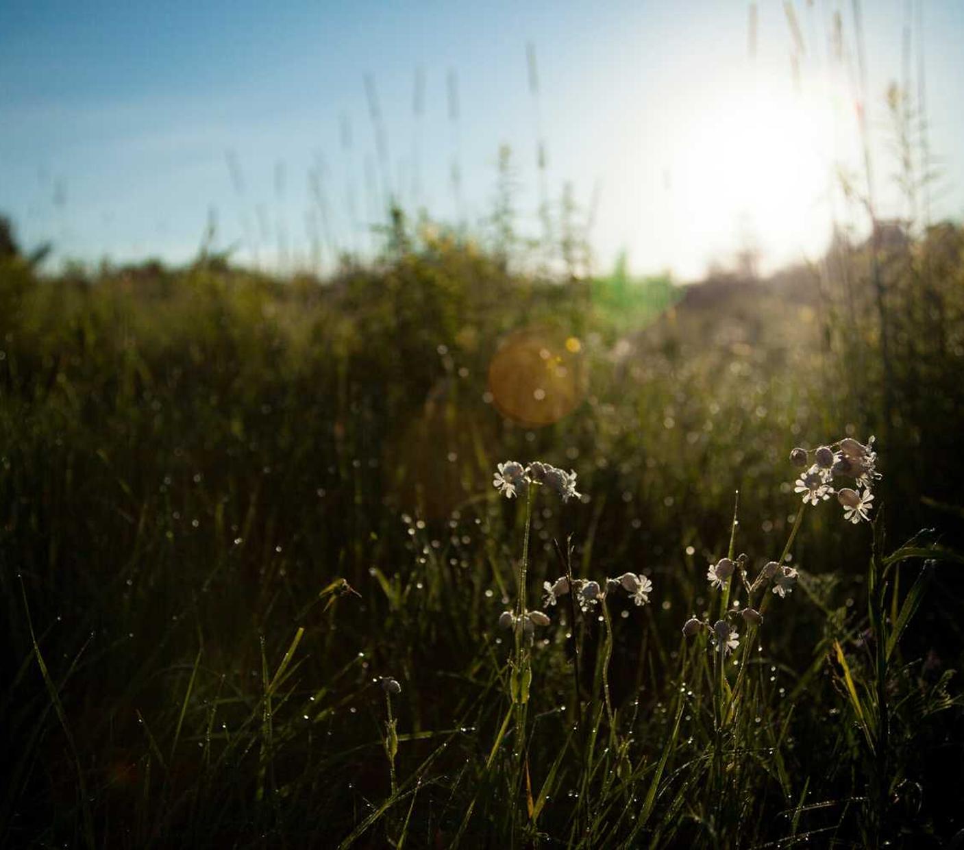 欧亿7lol小号购买平台
