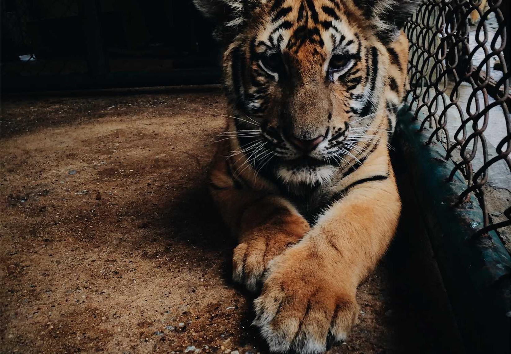 如何使用SEO来优化您的电子邮件营销