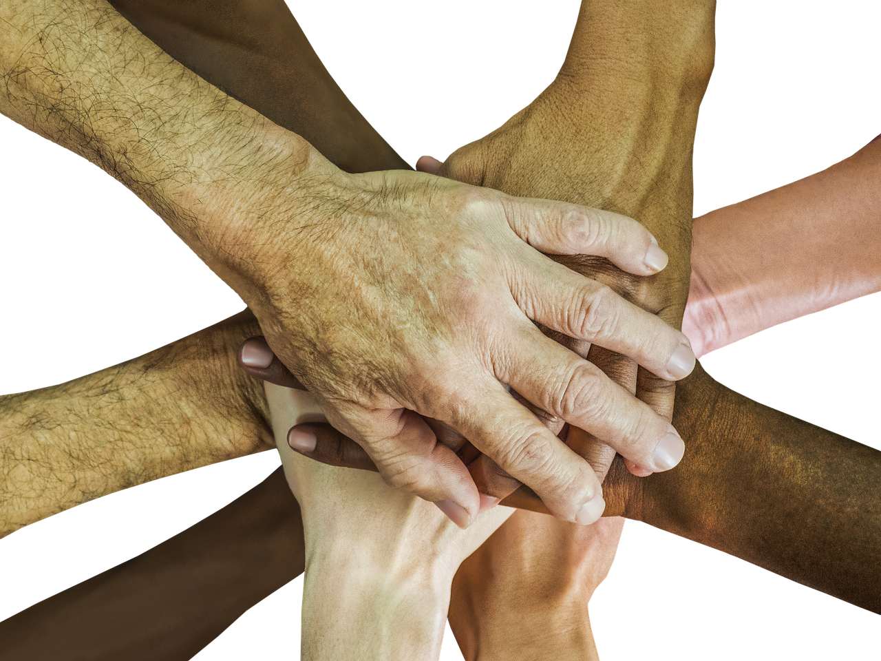 世纪佳缘实名账号：实名认证在社交网络营销中的应用