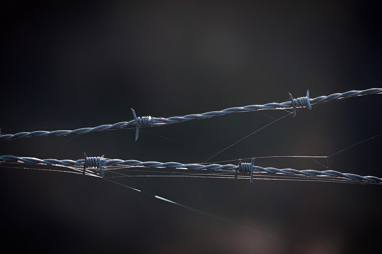 吸烟和大脑学习：吸烟对大脑学习的影响