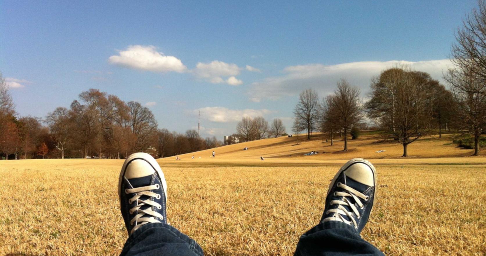 鼎汇贵州高温阀门购买平台