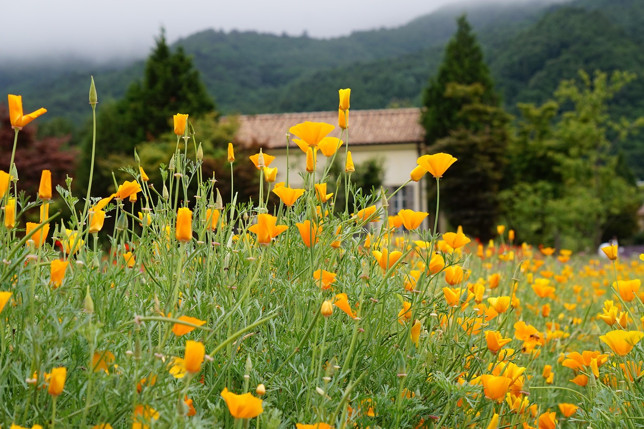 豪利时薄荷双爆珠（细）：常州购买模具价格信息平台