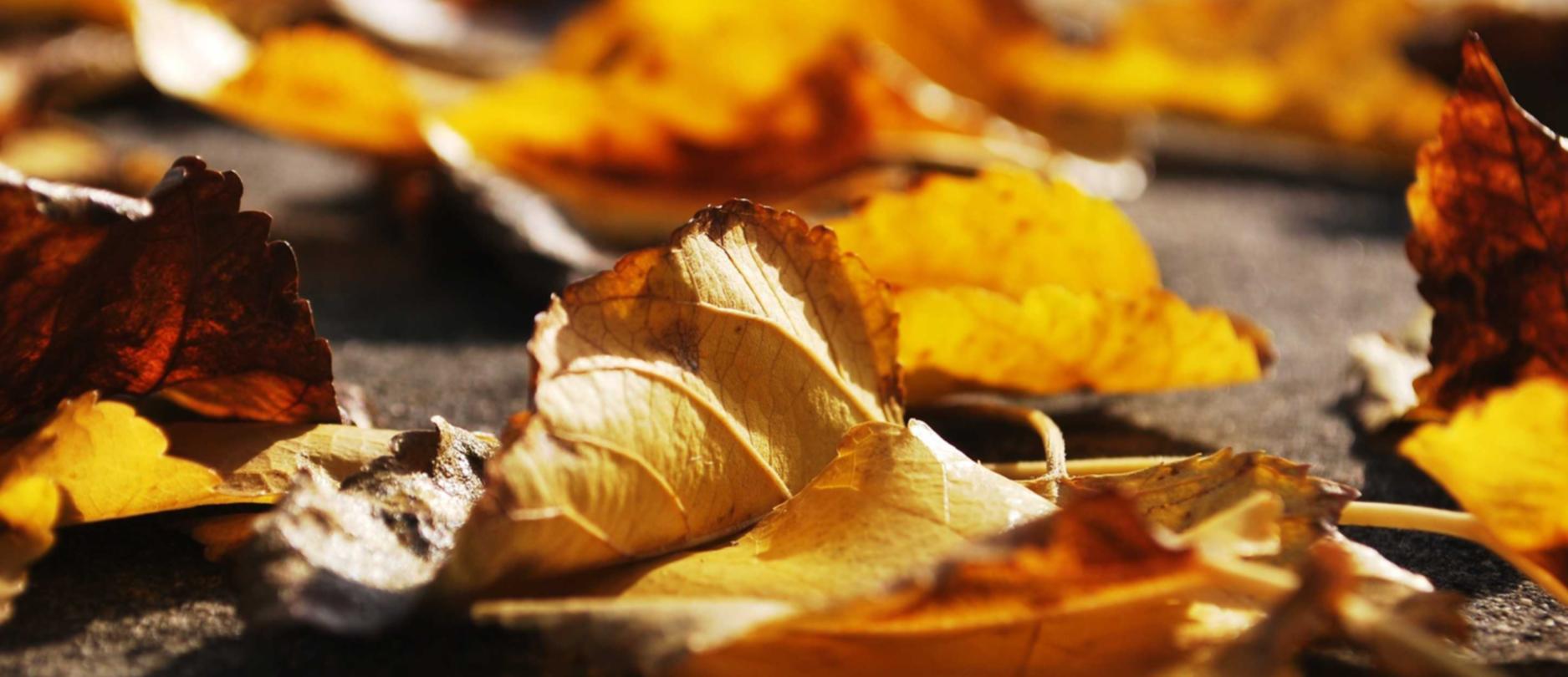 实名制度对于互联网营销策略的影响