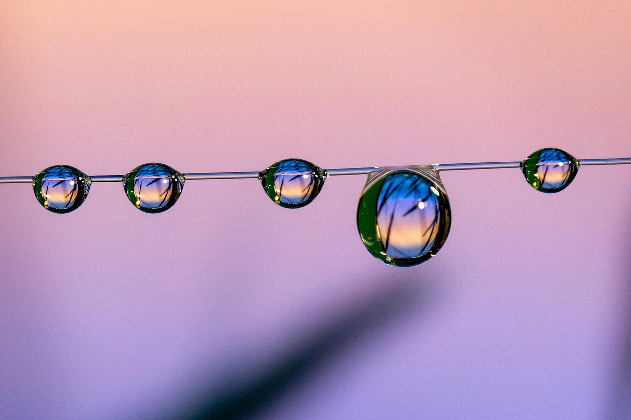 网站代实名实名账号:空港新城企业注册代理